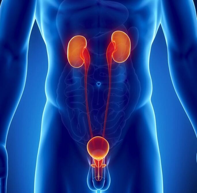 кои хронични болести можат да влијаат на машката потенција